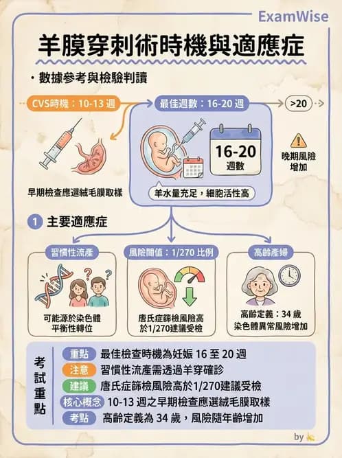護理師 - 產前篩檢與遺傳診斷 - AI 圖文解析預覽