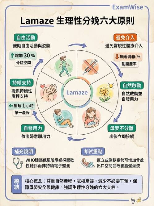 護理師 - 生產疼痛與麻醉技術 - AI 圖文解析預覽