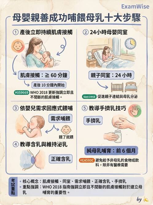 護理師 - 母乳哺餵 - AI 圖文解析預覽