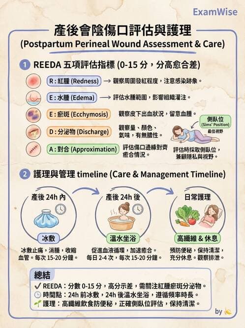 護理師 - 產後生理恢復與護理 - AI 圖文解析預覽
