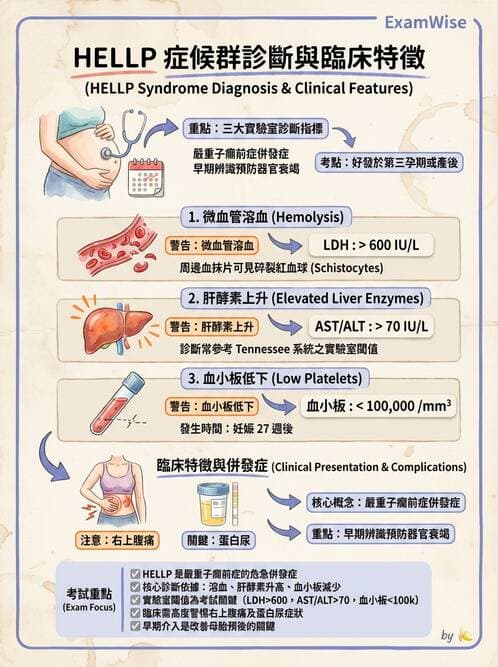 護理師 - 高危險妊娠 - AI 圖文解析預覽