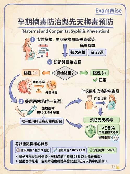 護理師 - 高危險妊娠 - AI 圖文解析預覽