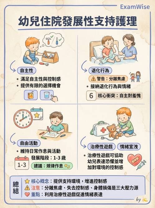 護理師 - 兒童心理社會發展與遊戲 - AI 圖文解析預覽