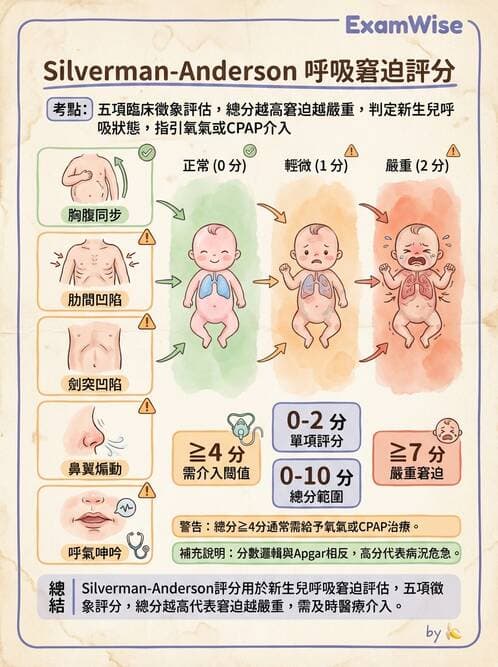 護理師 - 高危險新生兒 - AI 圖文解析預覽