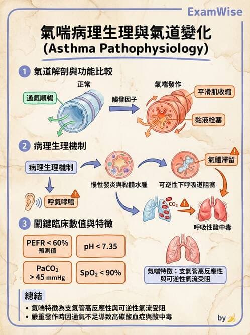 護理師 - 兒童呼吸系統疾病 - AI 圖文解析預覽