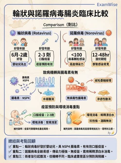 護理師 - 兒童傳染性疾病 - AI 圖文解析預覽