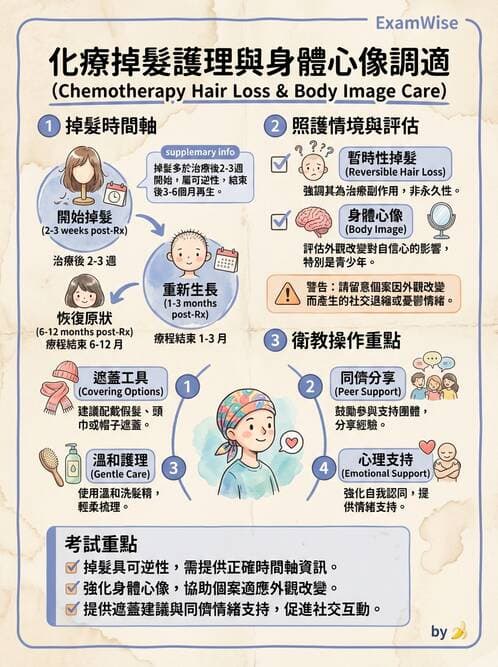 護理師 - 兒童心理社會發展與遊戲 - AI 圖文解析預覽