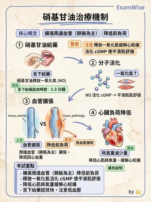 物治 - 心臟藥物、輔助裝置與周邊血管 - AI 圖文解析預覽
