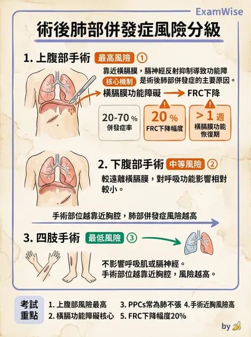 物治 - 胸腔手術、肺移植與呼吸器 - AI 圖文解析預覽