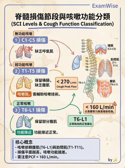 物治 - 氣道廓清與呼吸訓練技術 - AI 圖文解析預覽