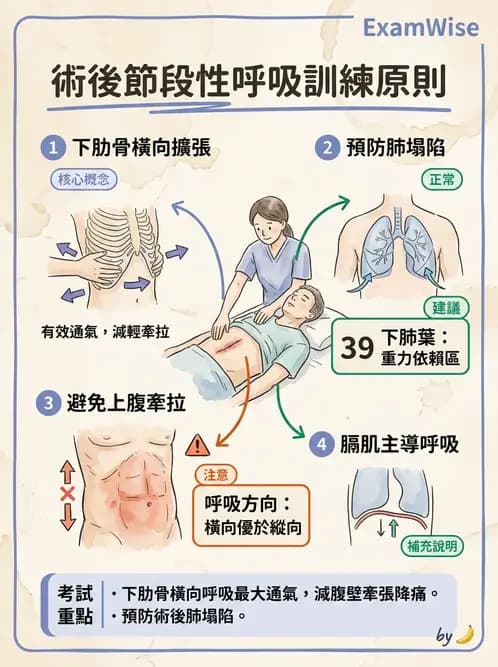 物治 - 胸腔手術、肺移植與呼吸器 - AI 圖文解析預覽