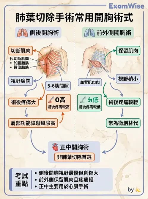 物治 - 胸腔手術、肺移植與呼吸器 - AI 圖文解析預覽