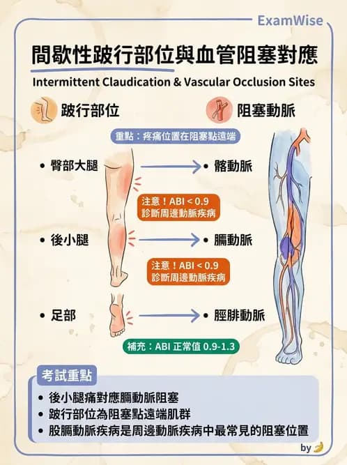 物治 - 心臟藥物、輔助裝置與周邊血管 - AI 圖文解析預覽
