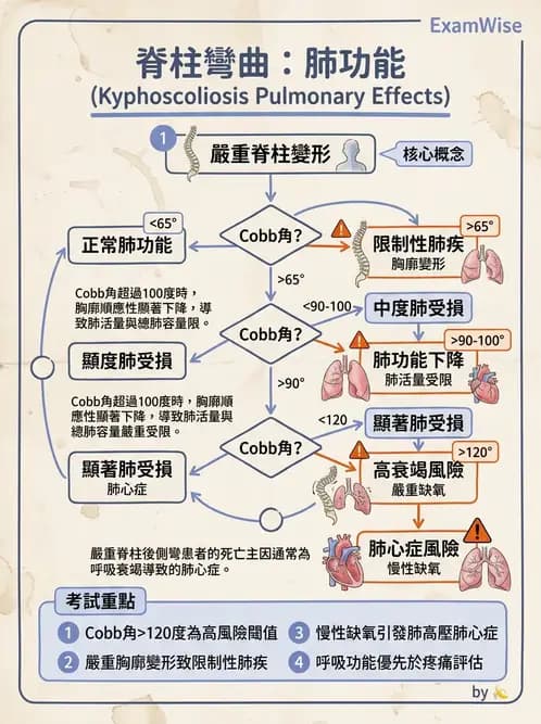 物治 - 阻塞性肺疾病物理治療 - AI 圖文解析預覽