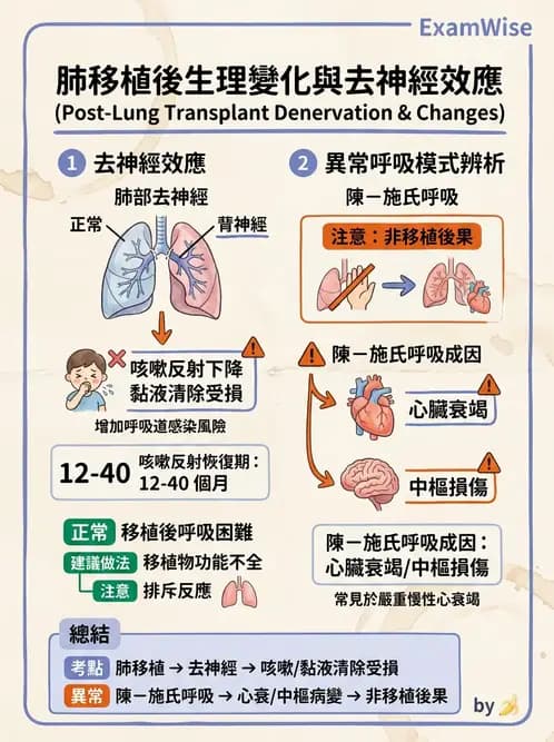 物治 - 胸腔手術、肺移植與呼吸器 - AI 圖文解析預覽