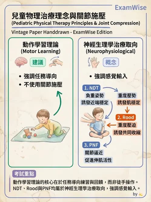 物治 - 小兒物理治療基礎與原理 - AI 圖文解析預覽