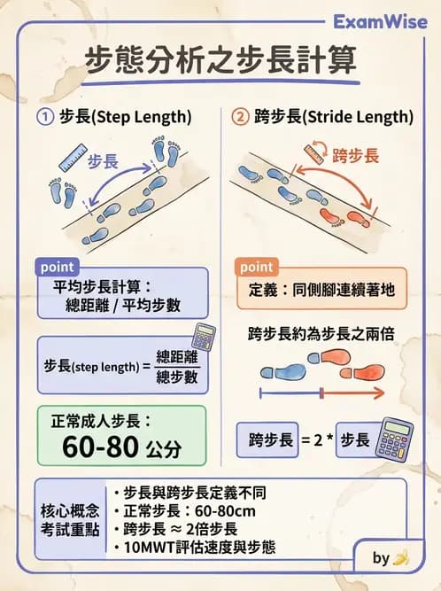 物治 - 小兒評估工具與心理計量 - AI 圖文解析預覽