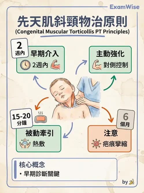物治 - 小兒肌肉骨骼疾患物理治療 - AI 圖文解析預覽