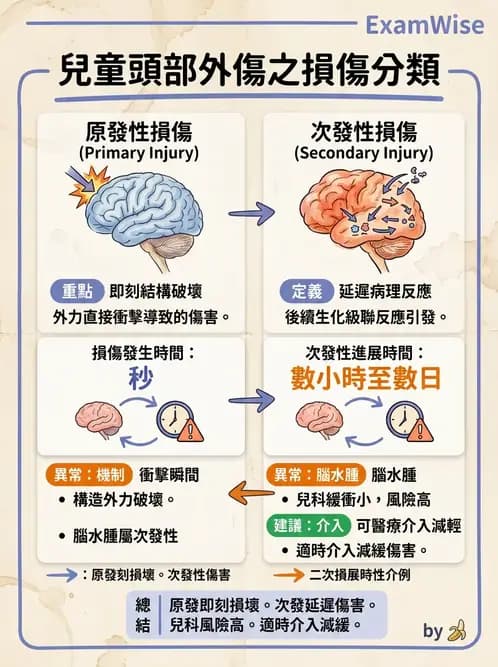 物治 - 脊柱裂、神經肌肉疾病與腦傷 - AI 圖文解析預覽