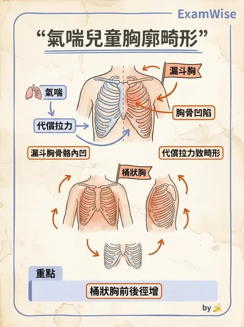 物治 - 小兒呼吸疾患與NICU物理治療 - AI 圖文解析預覽