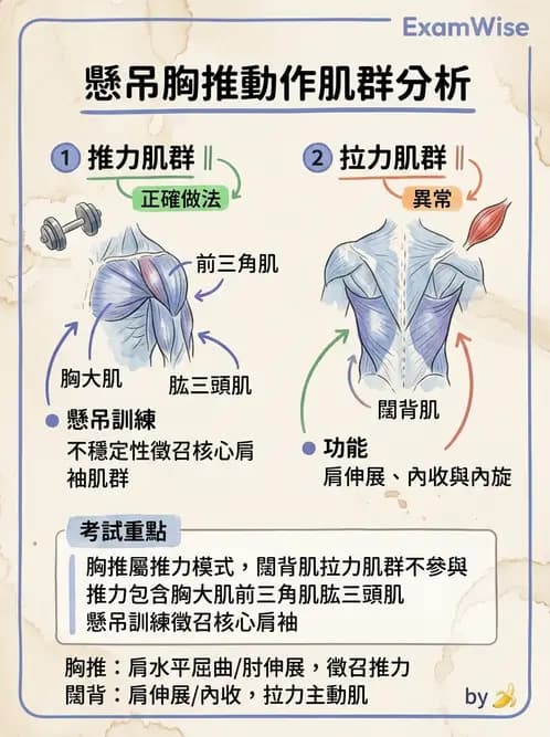 物治 - 競技運動與肌力訓練動作分析 - AI 圖文解析預覽