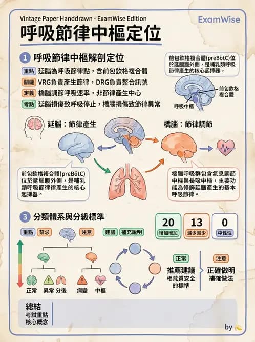 物治 - 呼吸生理 - AI 圖文解析預覽