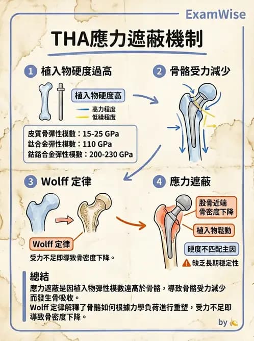 物治 - 組織生物力學 - AI 圖文解析預覽