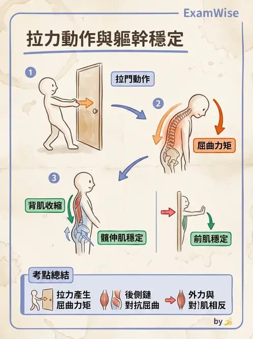 物治 - 日常功能動作與工效學 - AI 圖文解析預覽