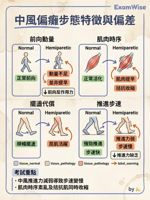 物治 - 異常步態與姿勢分析 - AI 圖文解析預覽