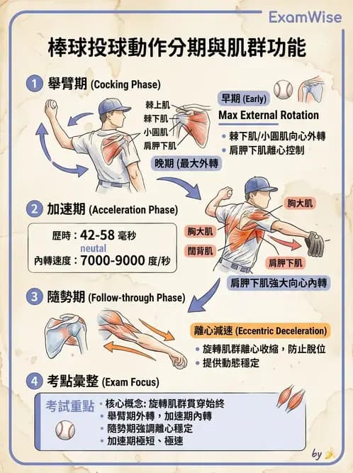 物治 - 競技運動與肌力訓練動作分析 - AI 圖文解析預覽