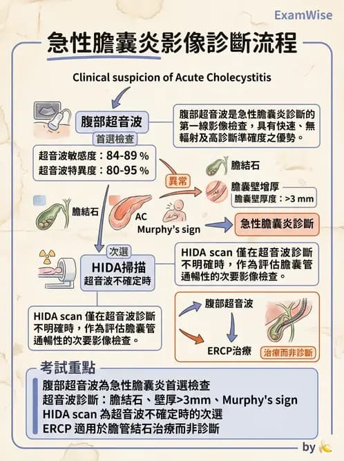 物治 - 骨科與外科疾病 - AI 圖文解析預覽