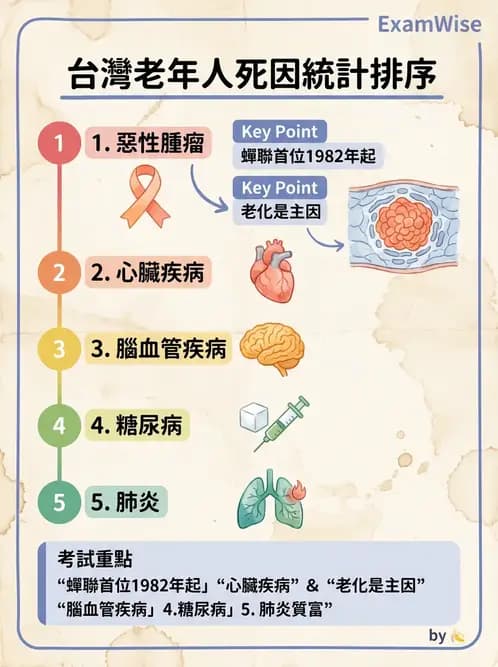 物治 - 健康政策與衛生行政 - AI 圖文解析預覽