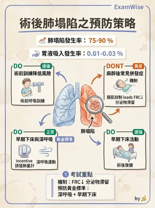 物治 - 腫瘤與其他臨床醫學 - AI 圖文解析預覽