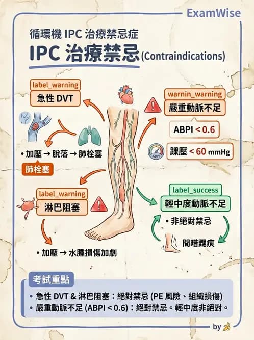 物治 - 力學因子 - AI 圖文解析預覽