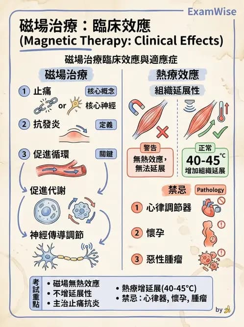 物治 - 物理因子特殊應用 - AI 圖文解析預覽