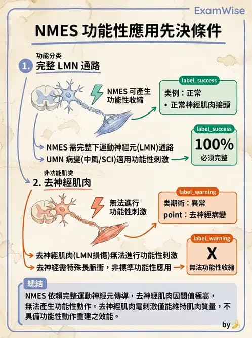 物治 - 神經肌肉電刺激 - AI 圖文解析預覽
