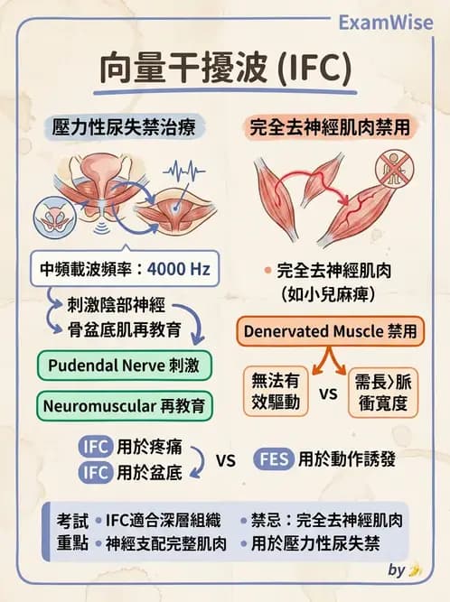 物治 - 中頻干擾波 - AI 圖文解析預覽