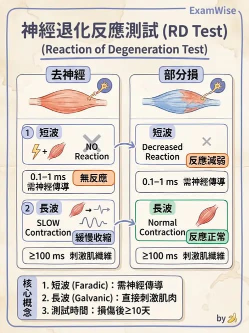 物治 - 電生理診斷 - AI 圖文解析預覽