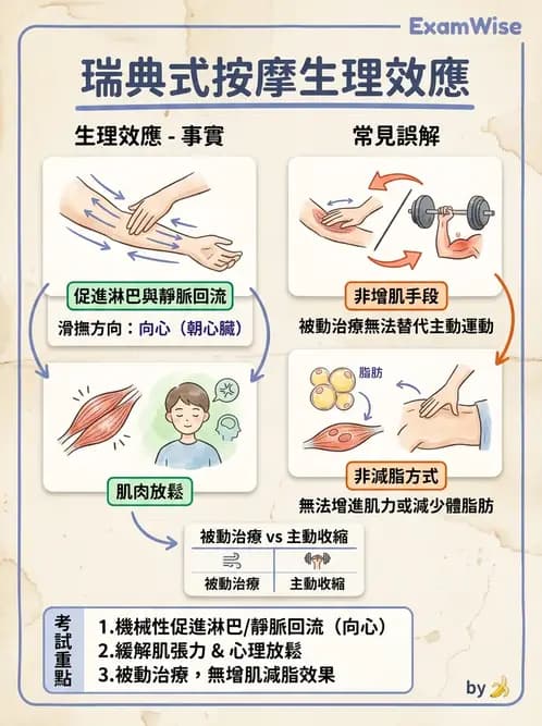 物治 - 瑞典式按摩與運動按摩 - AI 圖文解析預覽