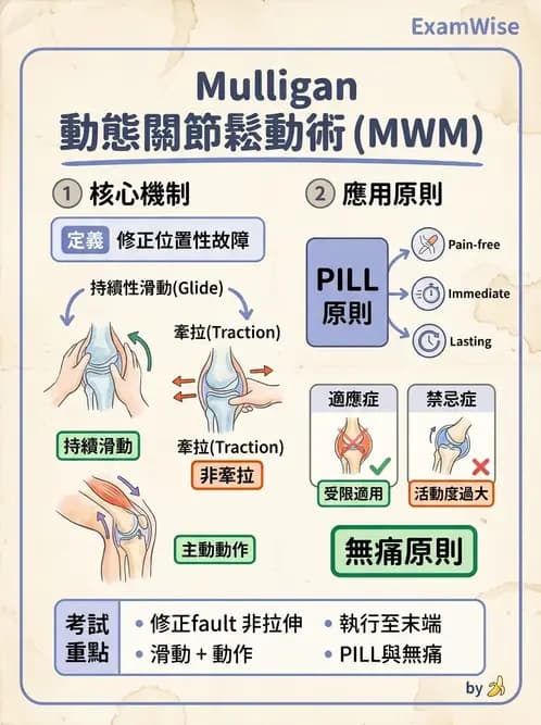 物治 - 鬆動術臨床應用 - AI 圖文解析預覽