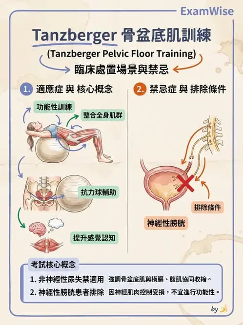 物治 - 功能評估與再教育 - AI 圖文解析預覽
