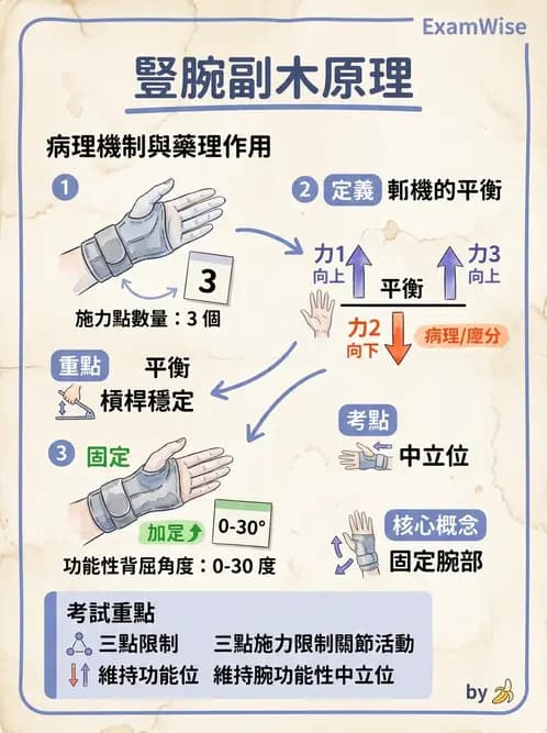 物治 - 裝具與矯具 - AI 圖文解析預覽