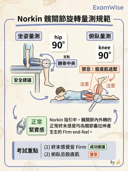 物治 - 下肢與脊椎關節活動度 - AI 圖文解析預覽
