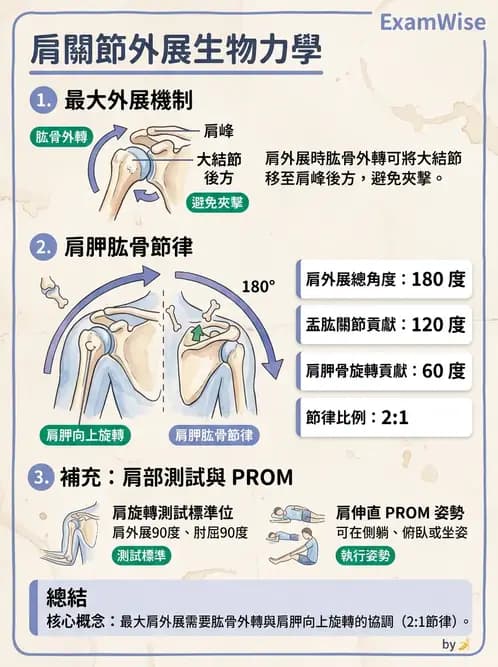 物治 - ROM通則與關節運動 - AI 圖文解析預覽