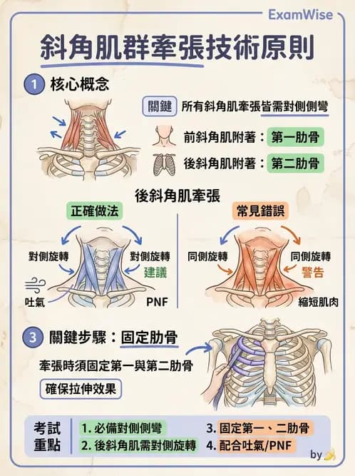 物治 - ROM通則與關節運動 - AI 圖文解析預覽