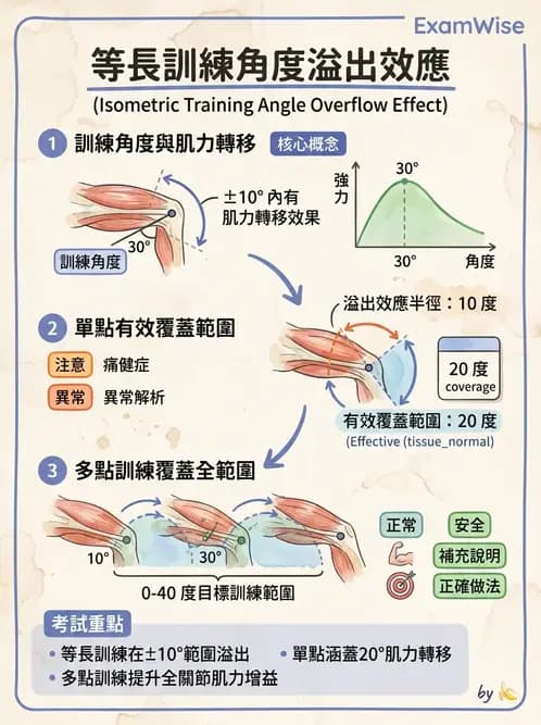 物治 - 肌力訓練方法 - AI 圖文解析預覽