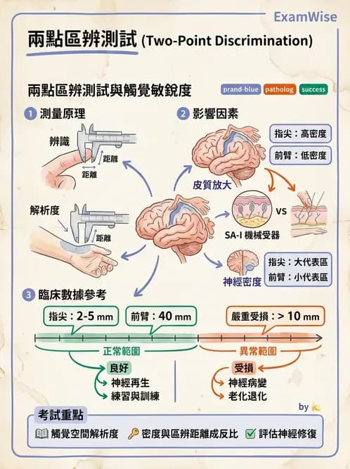 物治 - 神經物理治療評估工具 - AI 圖文解析預覽