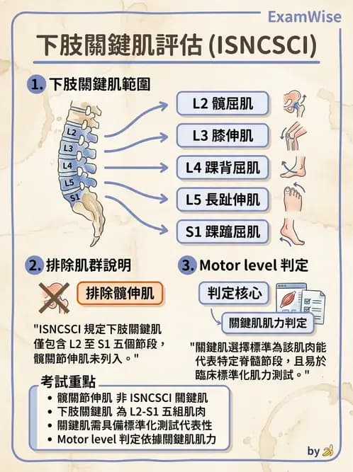 物治 - SCI評估分類與症候群 - AI 圖文解析預覽