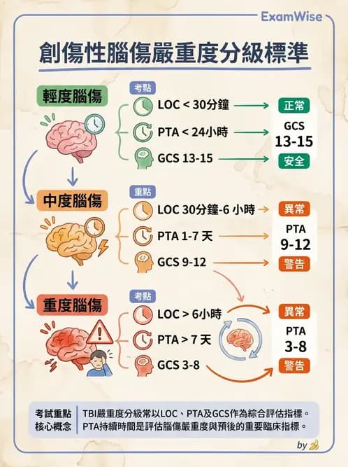 物治 - TBI病理評估與GCS - AI 圖文解析預覽