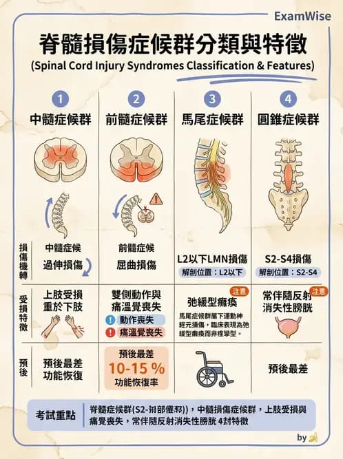 物治 - SCI評估分類與症候群 - AI 圖文解析預覽